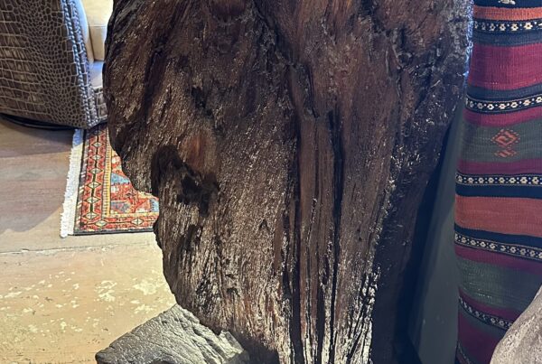 Live Edge Natural Sculpture with Light